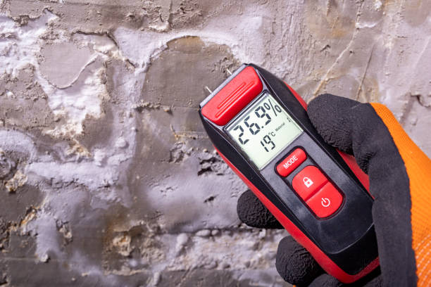 Best Mold Removal Process  in Carrizozo, NM