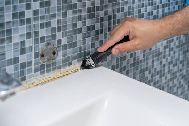 Best Mold Removal Specialists  in Carrizozo, NM